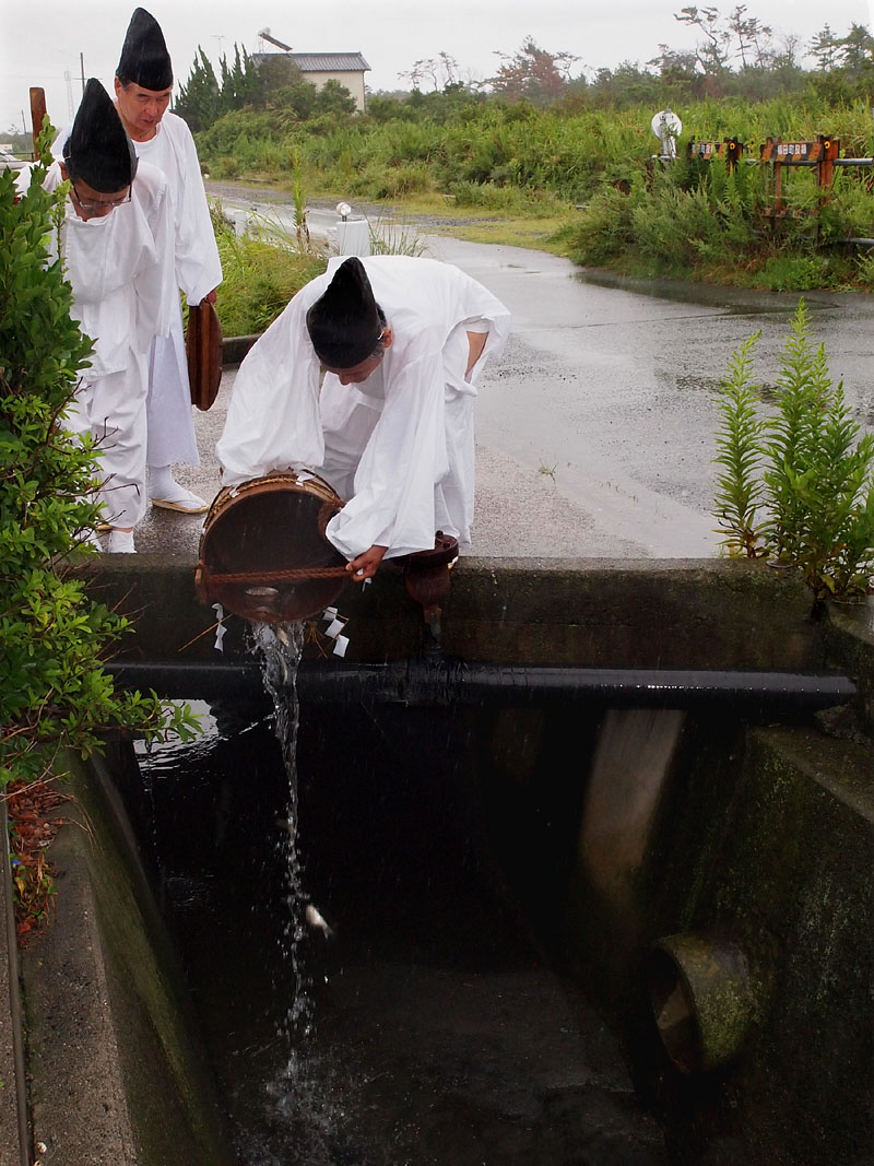 命之魚(篦鮒)を小川に放流する 10:26