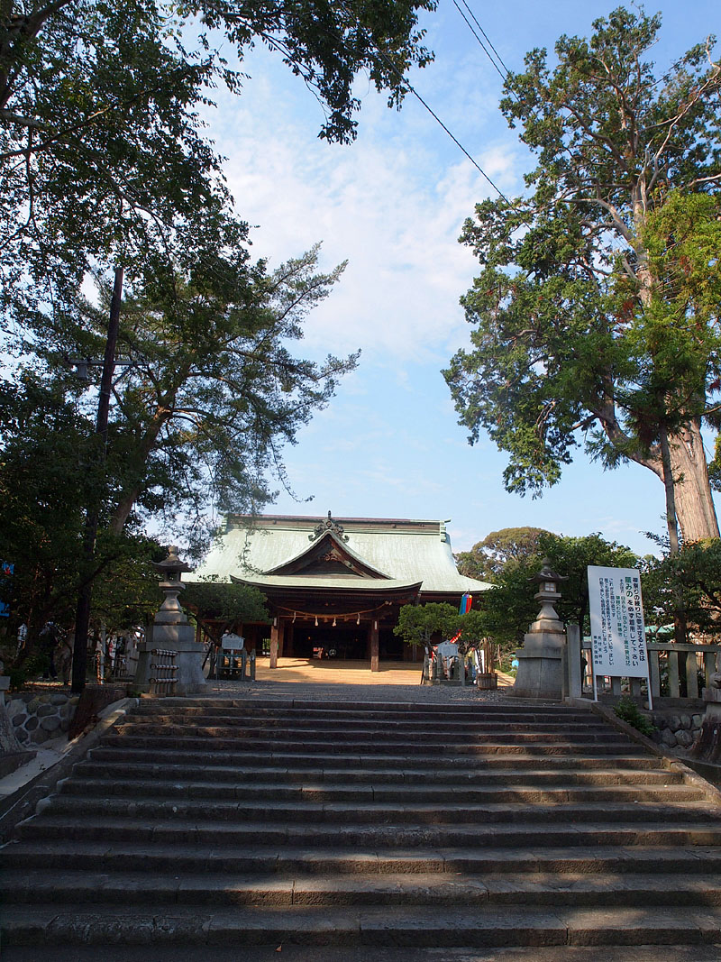矢奈比賣神社拝殿と御神木 14:23