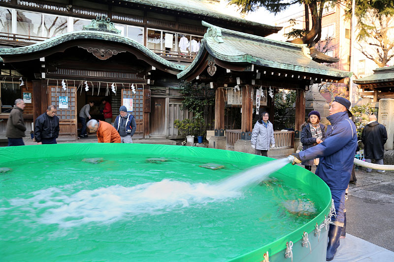 前日に消防ホースで水道水を注ぐ 2013.1.12 15:54
