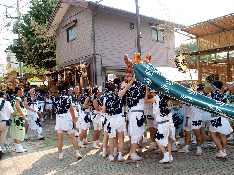 町内に繰り出した獅子頭【参】 2008.8.2 15:38