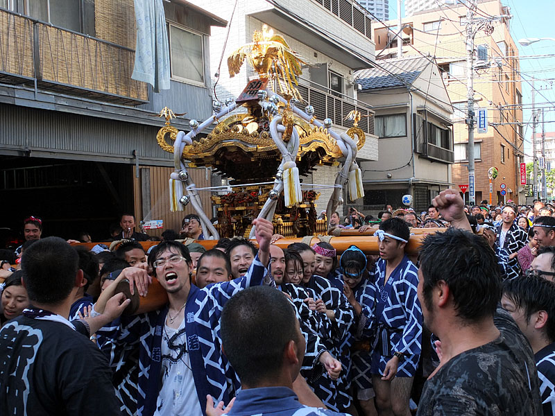 ワイルドだろー?新佃神輿 16:18