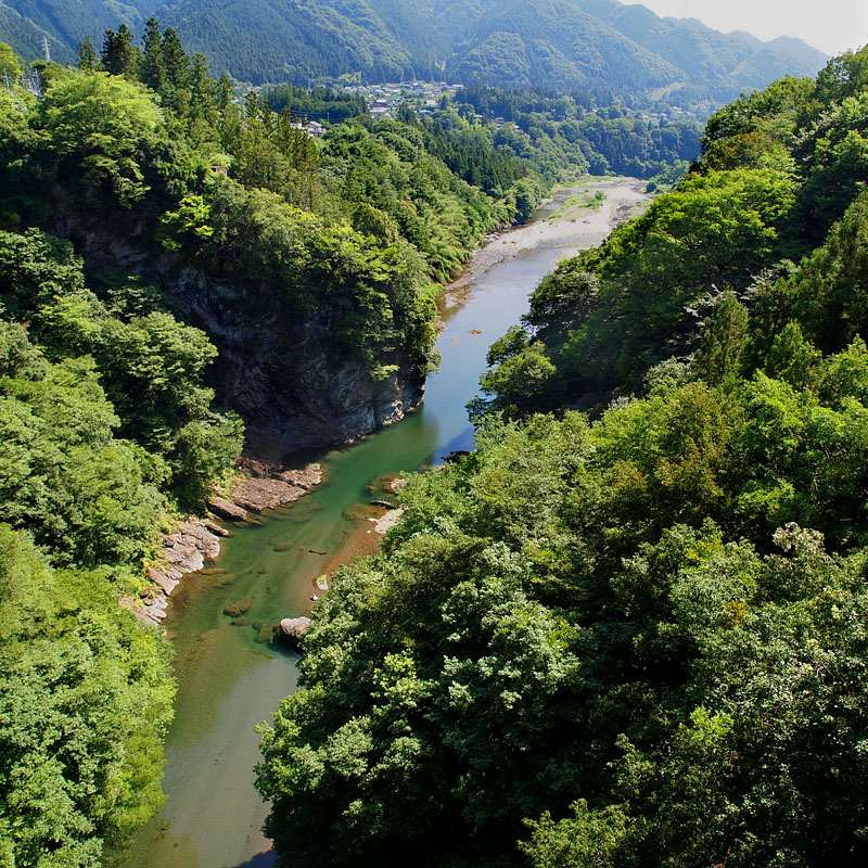 荒川の緑滴る清流 / 白川橋 09:30