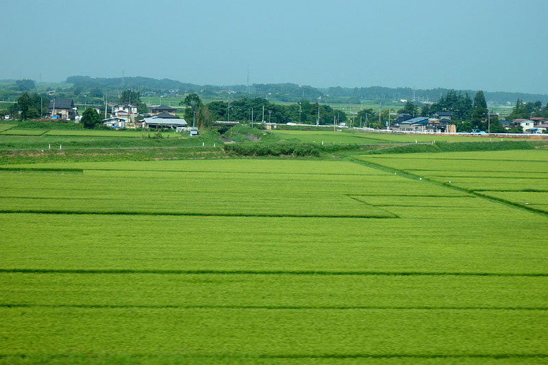 岩手県の田園風景 / 東北新幹線はやぶさ5号 2013.8.16 10:05