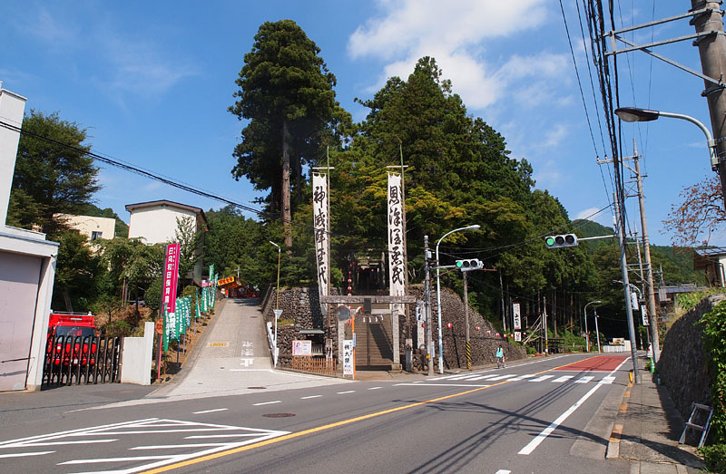 鎮守の森に鎮座する和田乃神社/青梅街道　10:25