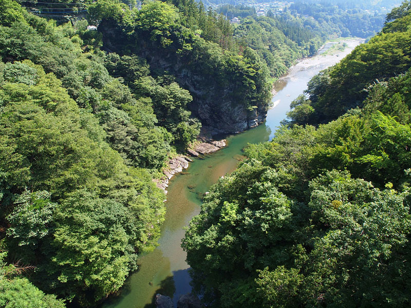 猿が遊ぶ荒川の清流 / 白川橋 09:31