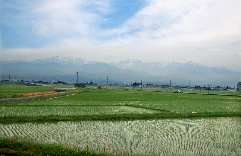 田植えが終わったばかりの富山平野と立山連山