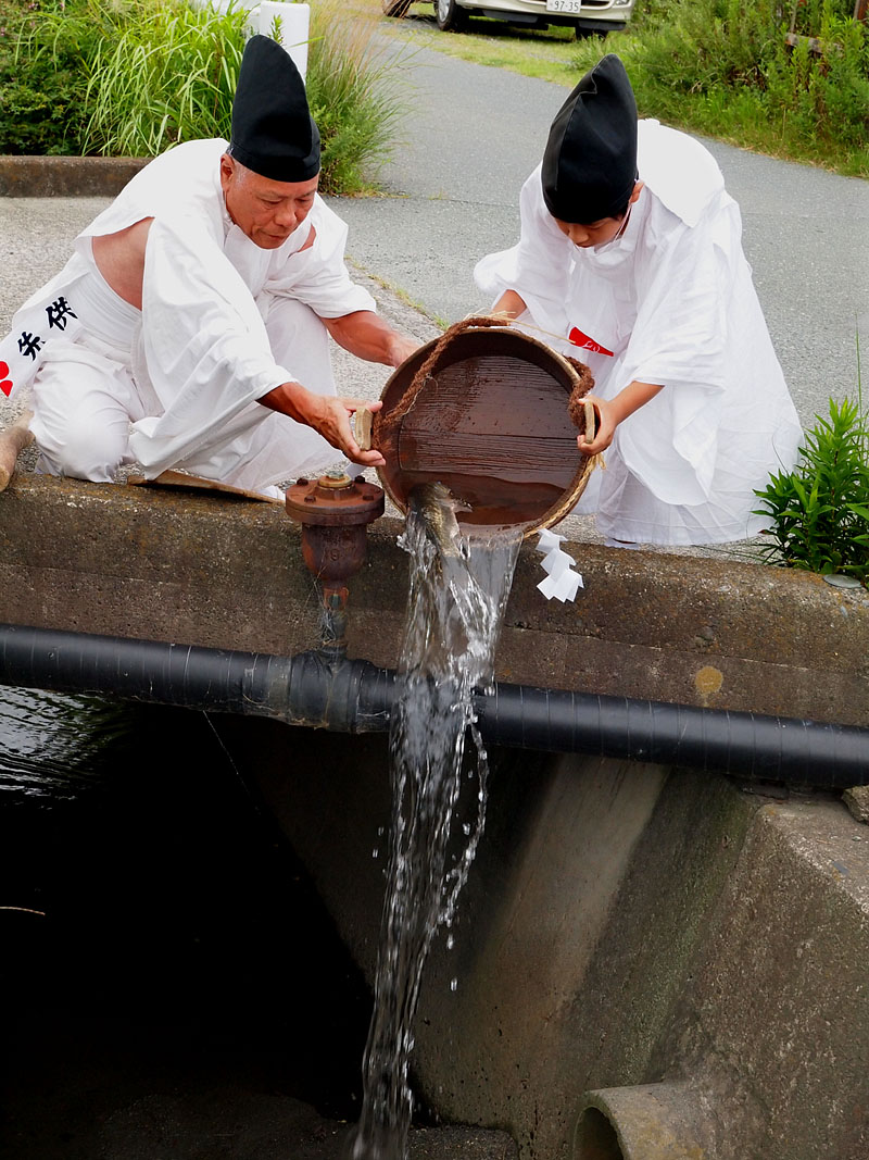 命之魚(篦鮒)を小川に放流する 10:32