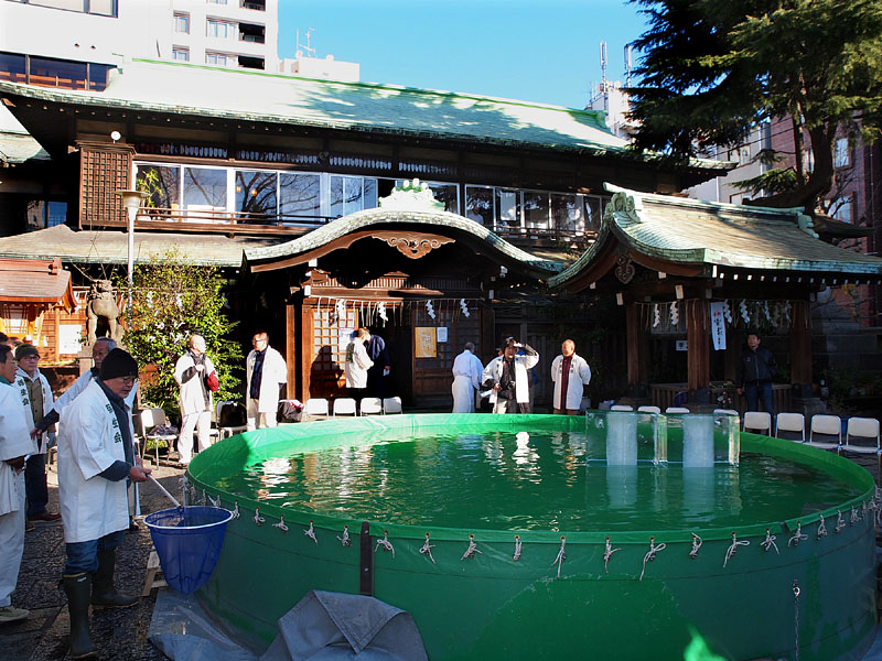 準備が整った水槽 09:00