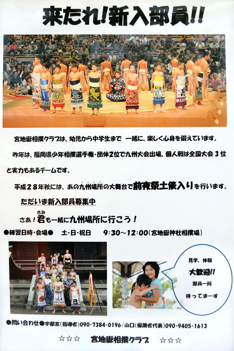 宮地嶽相撲クラブの募集ポスター