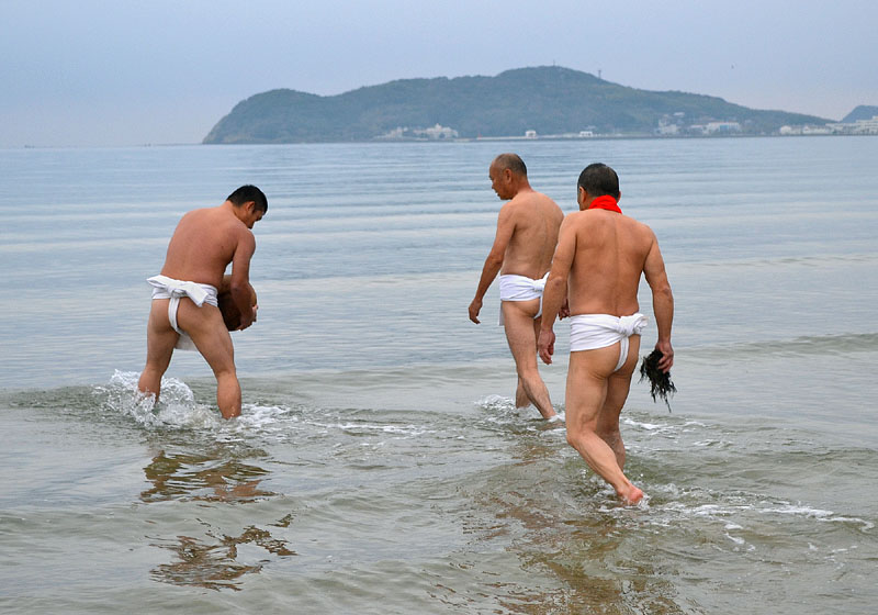 海藻を拾ってくる