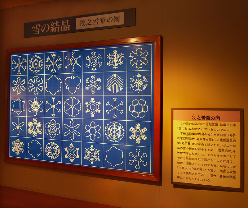 牧之が描いた雪の結晶