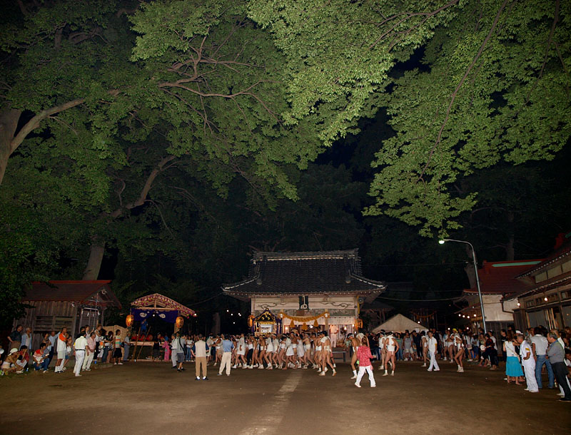 鎮守の杜の神輿祭り