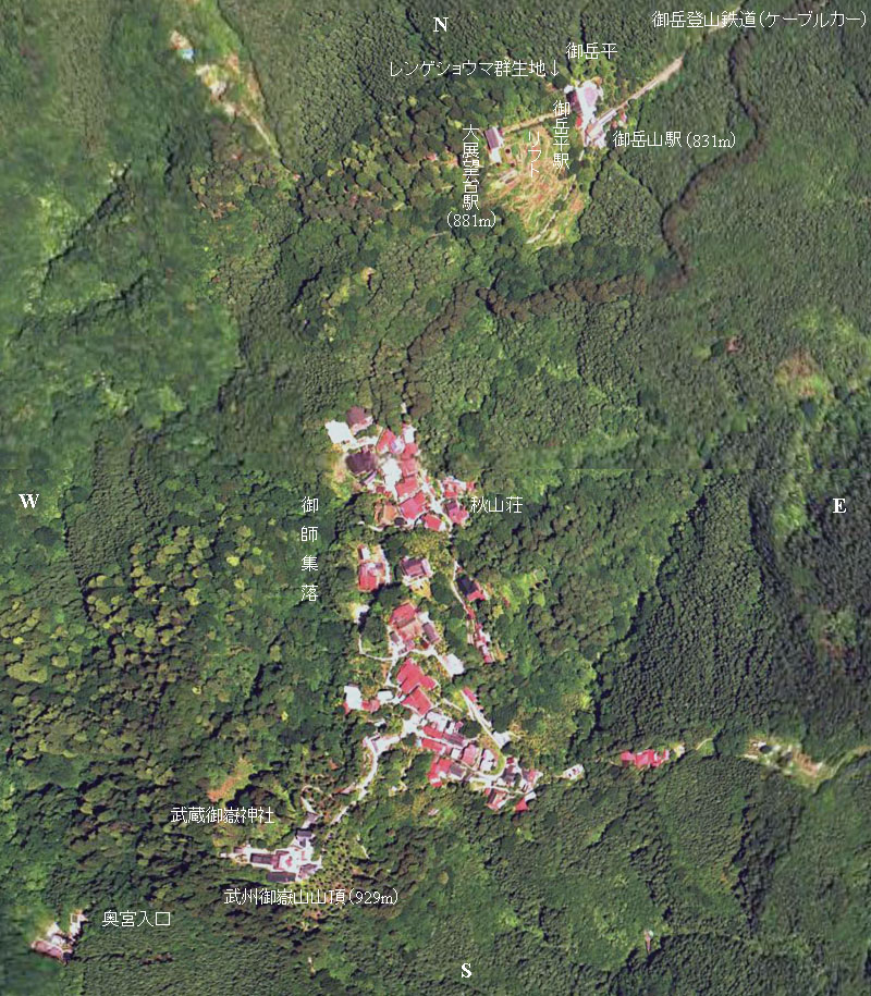 武州御嶽山山頂付近の衛星画像