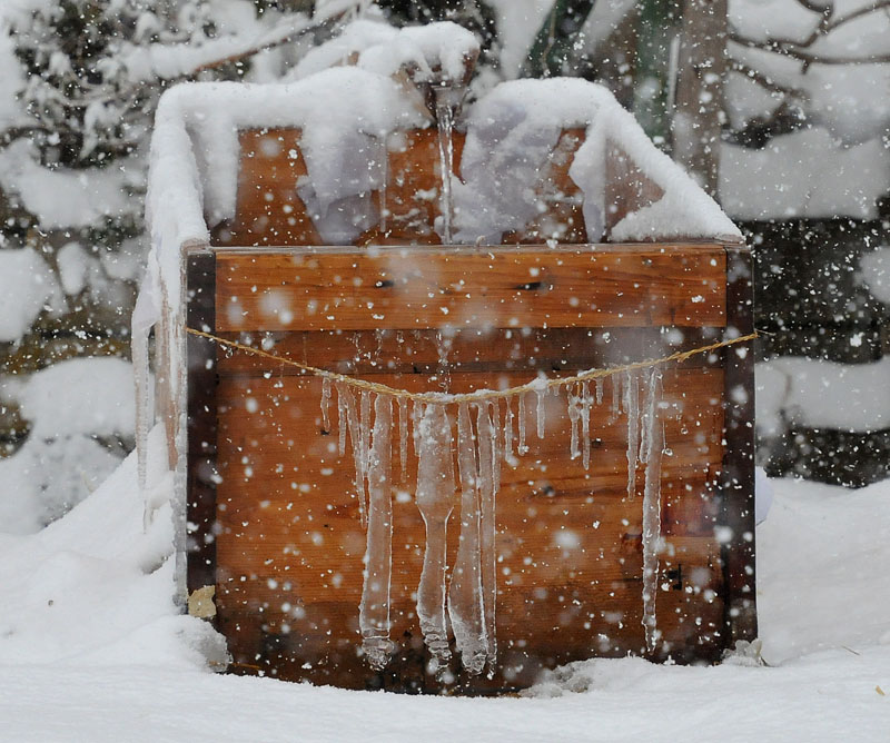 「みそぎ」水槽の氷柱(ツララ)