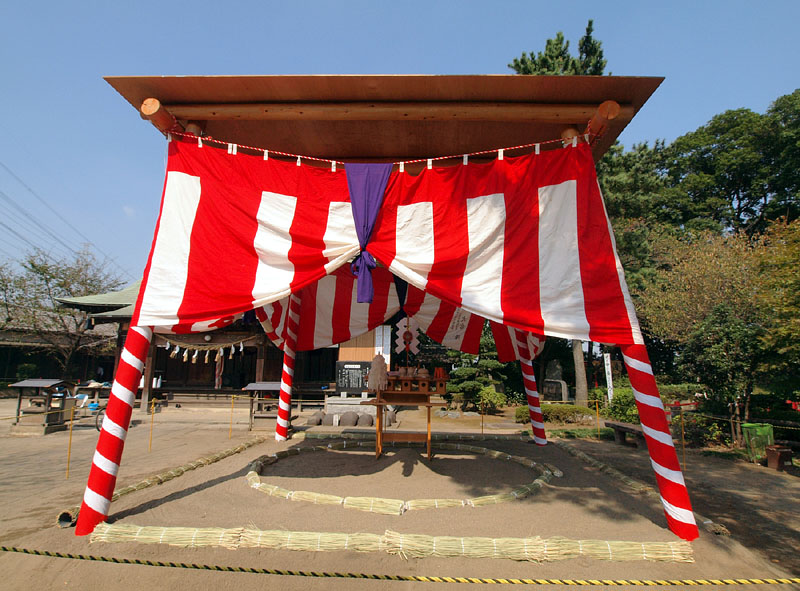 今年新装なった組み立て式相撲場