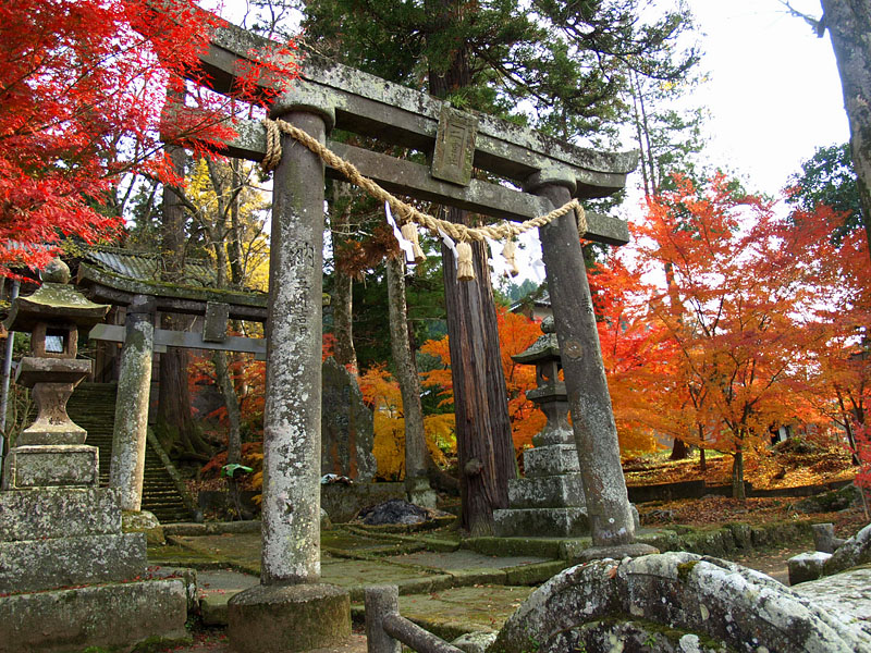 紅葉と石鳥居/二ノ宮八幡社参道
