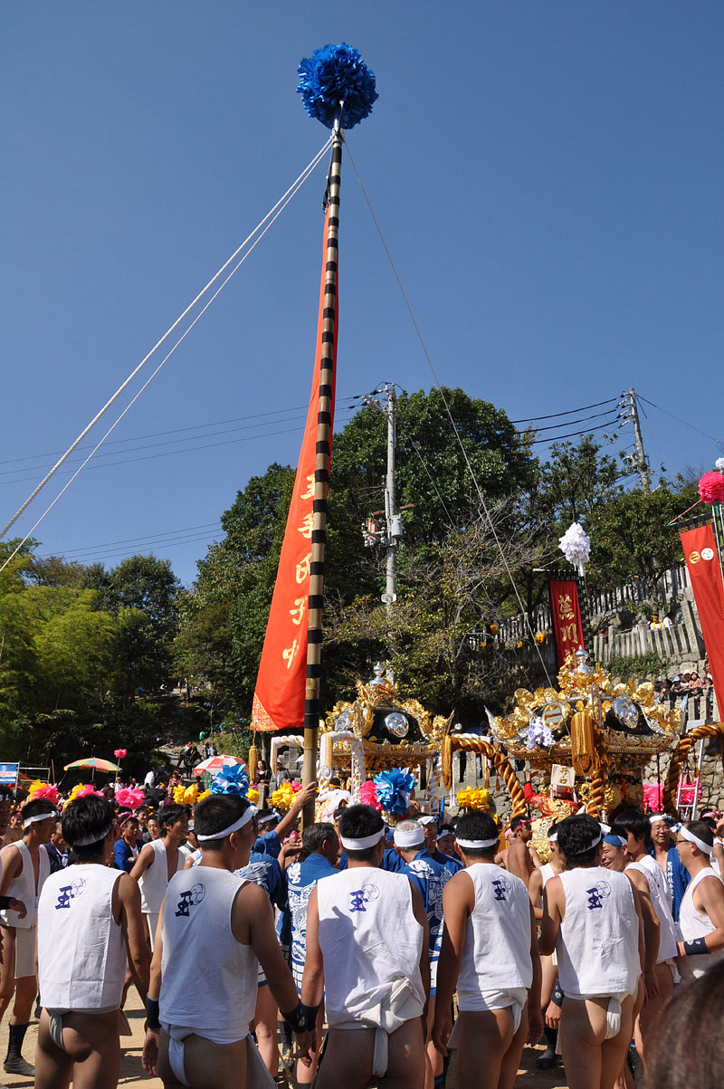 青シデ玉手の大幟
