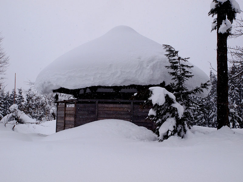 雪中に眠る霊風殿(六角堂)