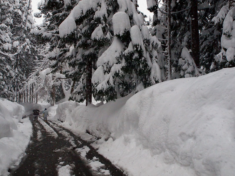 里宮と八海山尊神社を結ぶ除雪道路 11:16