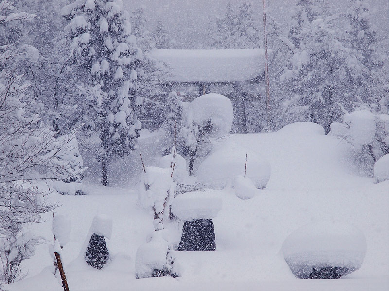 大雪に眠る大鳥居と88段の大石段「龍鳴の階」11:54