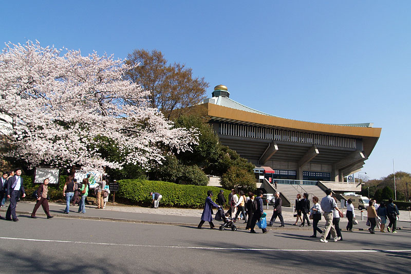 桜咲く日本武道館
