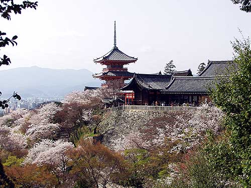 三重塔と桜A