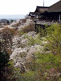 清水の舞台