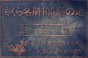 疼100I