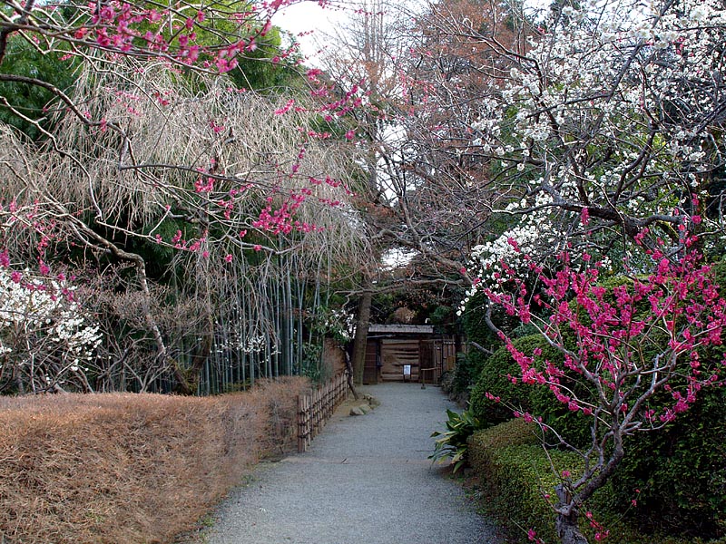 百草八幡宮への参道