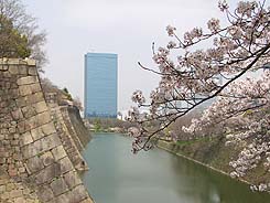 巨大な城壁と桜 B