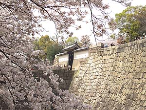 桜の美しい桜門
