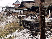 京都・清水寺 1