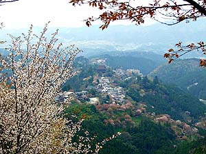 桜と地蔵堂