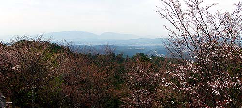 高城山からの眺め