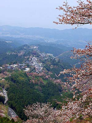 国宝・地蔵堂を望む