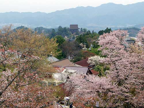 蔵王堂を望む