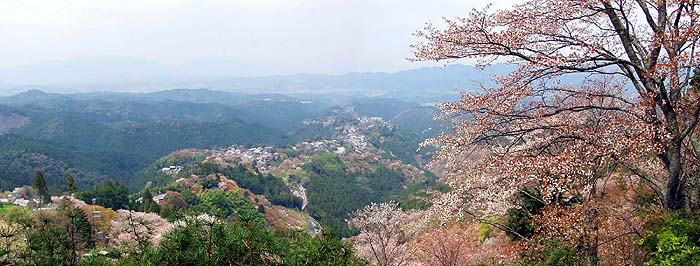 上千本からのパノラマ（奈良・吉野山）