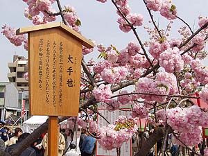大手毬(おおてまり)