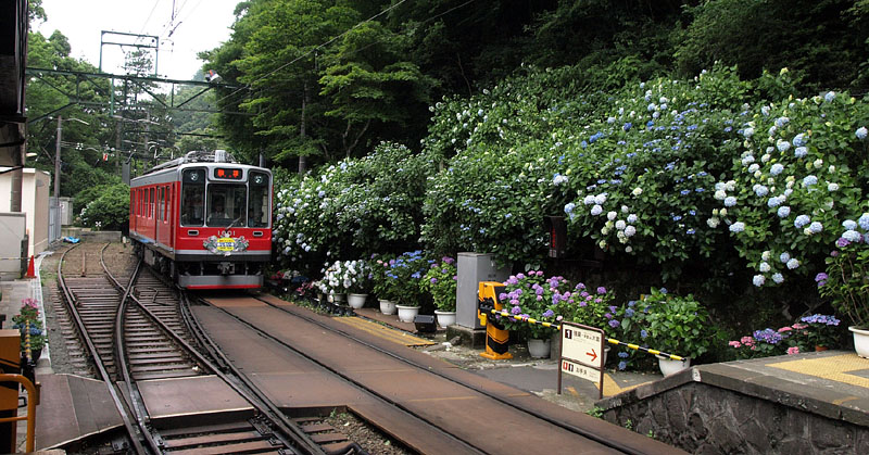 宮ノ下駅に進入するあじさい電車