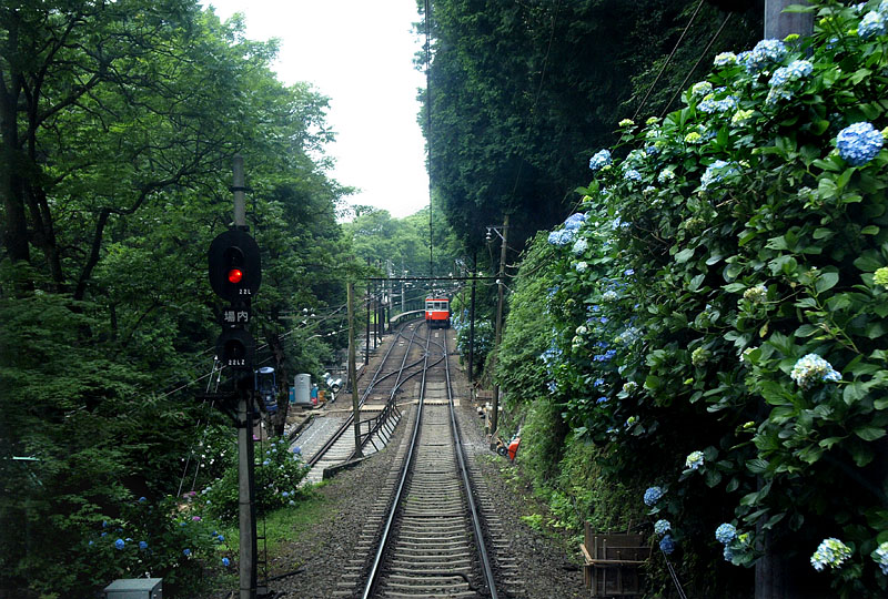 スイッチバックする登山電車