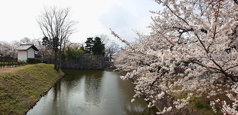 二の丸土蔵と外堀の桜(二の丸裏御門橋)