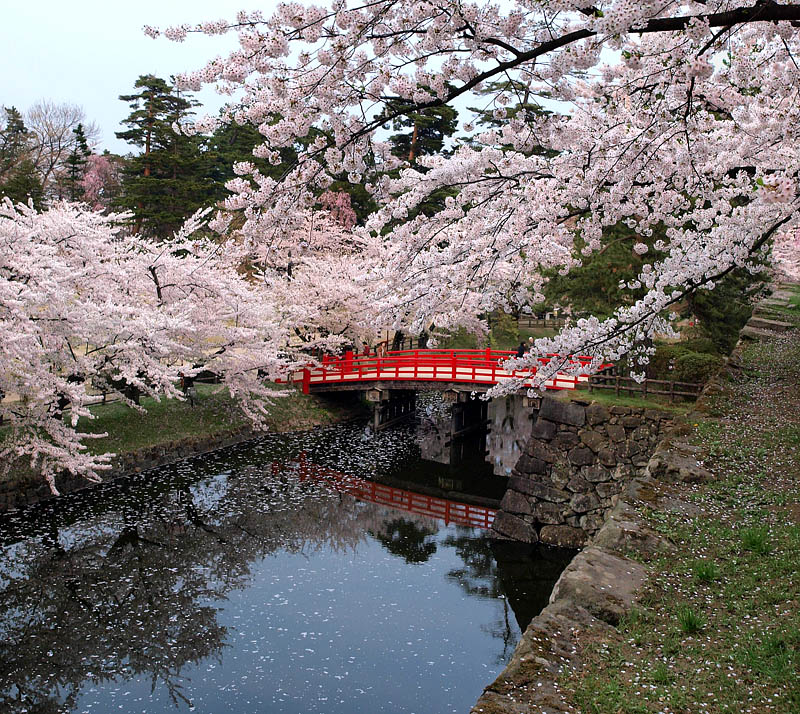 内濠と鷹丘橋