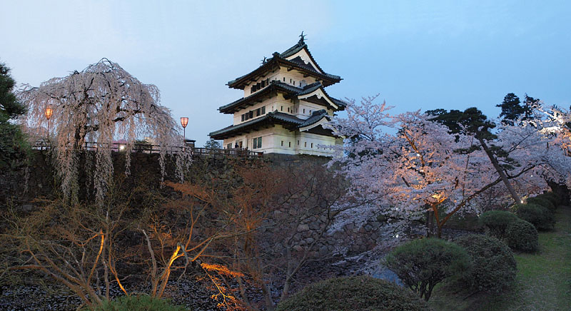 枝垂桜と天守