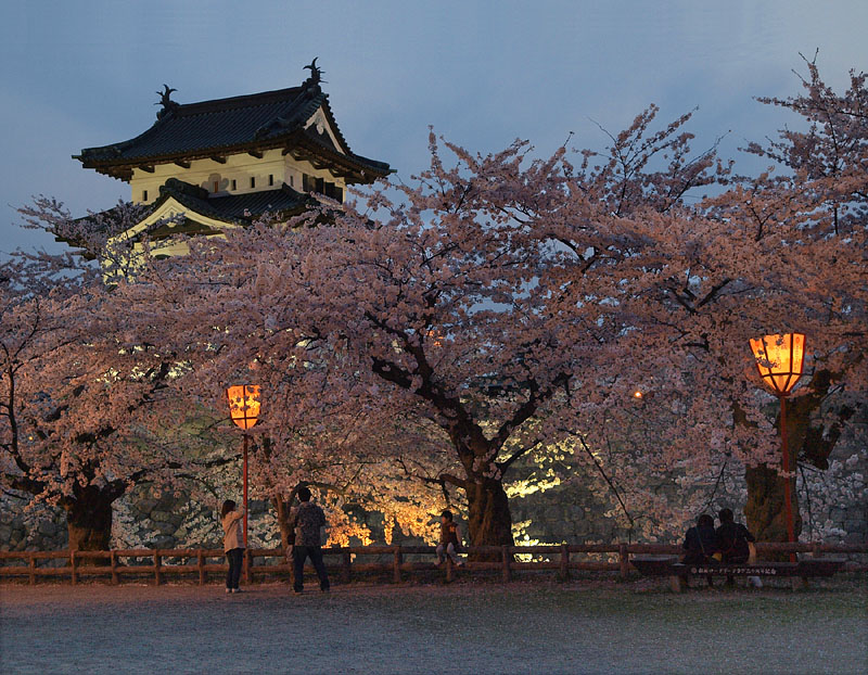 夜桜を楽しむ人たち