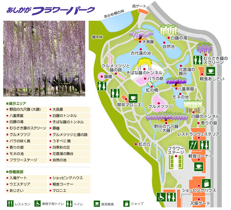 園内マップ