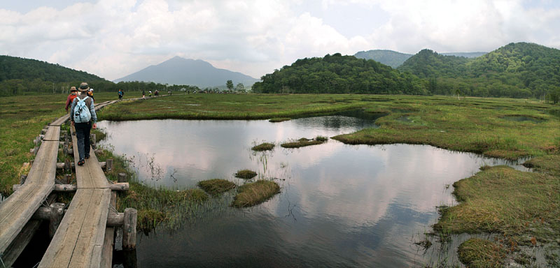 燧ヶ岳と池塘(湿原の水溜まり)