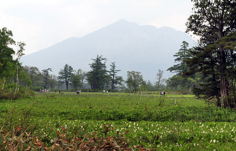 燧ヶ岳(2,356m)と水芭蕉 11:55