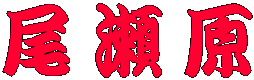 尾瀬原