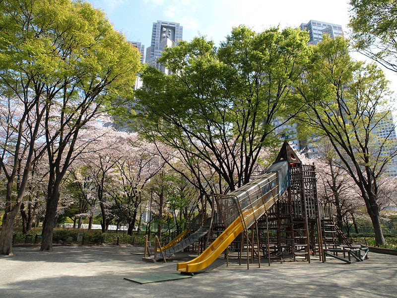 新宿中央公園の桜