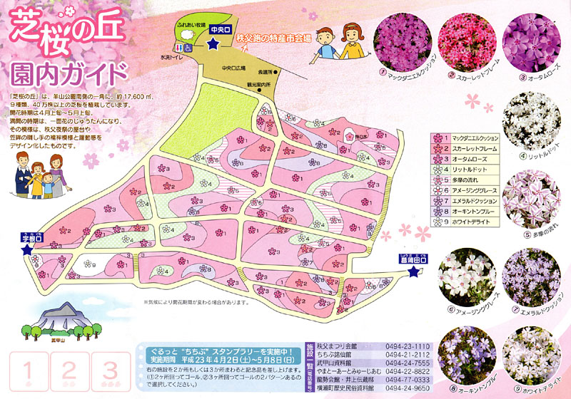 芝桜の丘園内ガイド